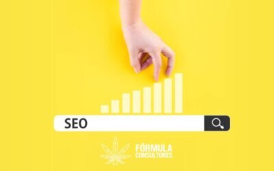 Importancia del SEO para empresas de cannabis