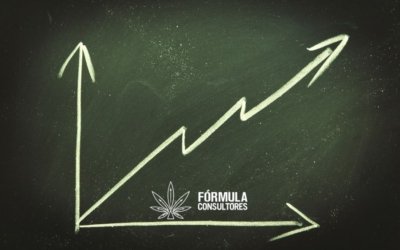 Tendencias en marketing para la industria del cannabis en 2025